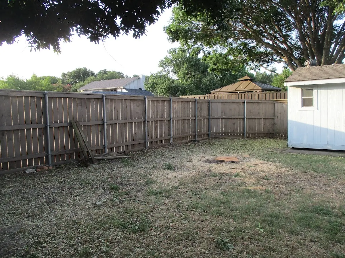 Cleared yard after professional tree removal in Helvetia